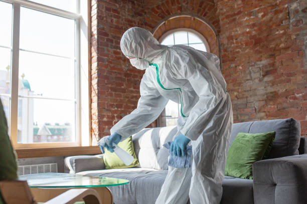 Why You Should Choose Our Mold Remediation Services in Osceola Mills, PA